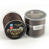 Caiman Catfish Caiman Catfish