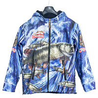 Одежда Одежда